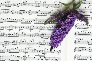 Blumen, Musik, Anmerkungen