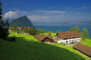 Gersau, casa, lago, Lago dei Quattro Cantoni, montagne, riva, pendenza, Svizzera