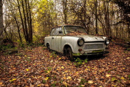 otoño, Máquina, chatarra