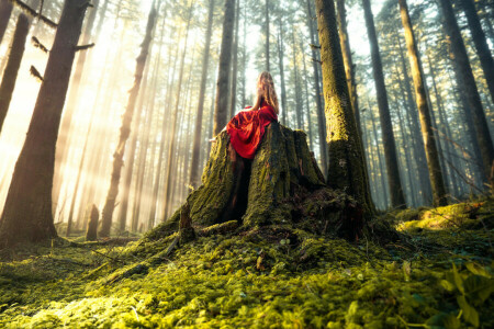 dress, forest, girl, Lizzy Gadd, Woodland Magic