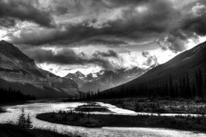 en blanco y negro, bosque, montañas, foto, río