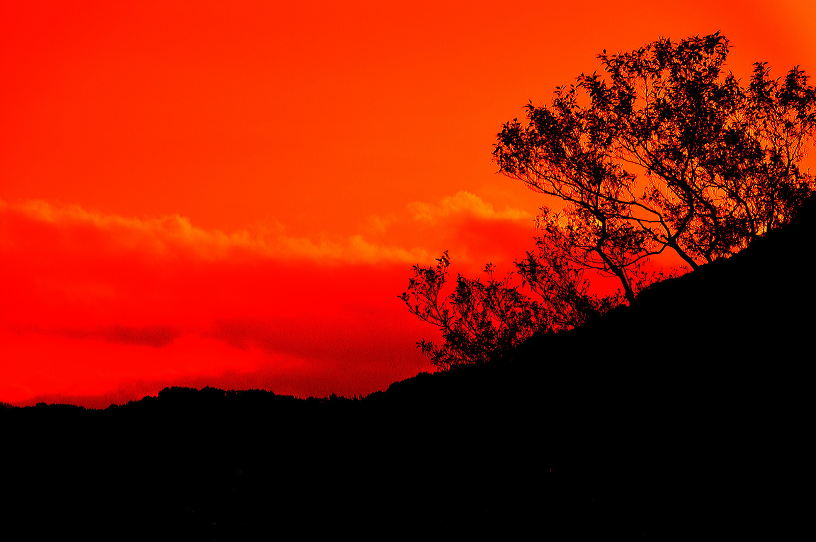 Baum, der Himmel, Wolken, Berge, glühen