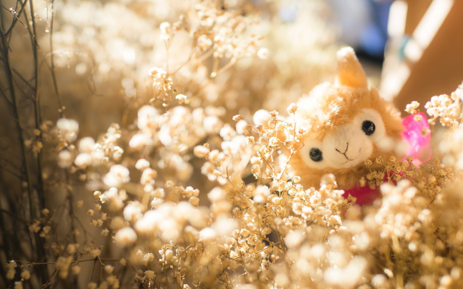 grass, light, toy