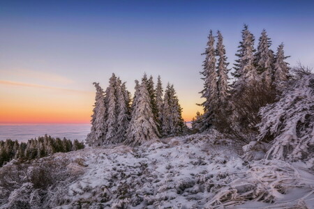 spiste, skyer, soloppgang, morgen, fjellene, snø, topp, vinter