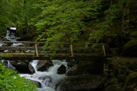 Bridge, forest, France, river, stones