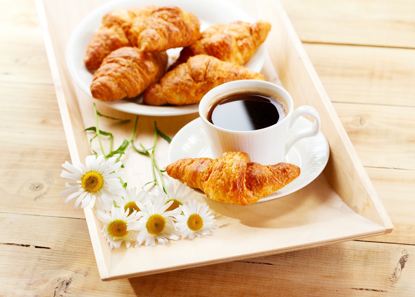 breakfast, flowers, coffee, chamomile, croissants