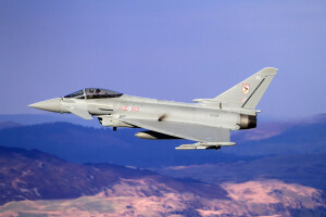 Eurofighter Tayfunu, savaşçı, uçuş, çok amaçlı, Pilot