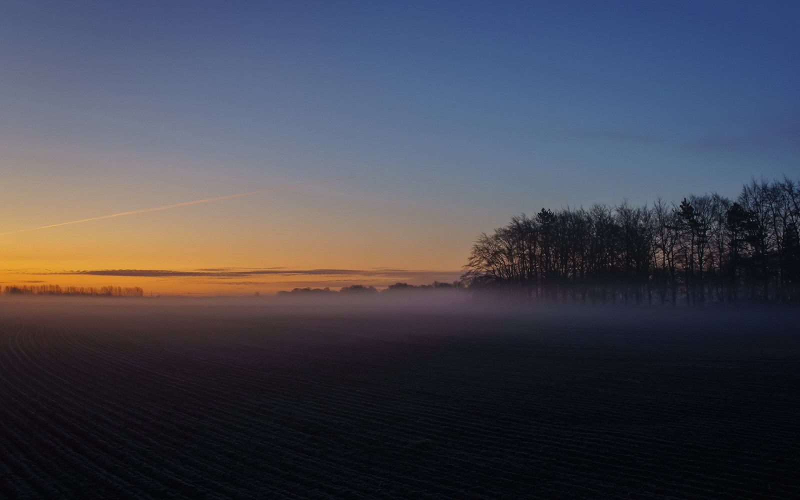 sunset, landscape, field