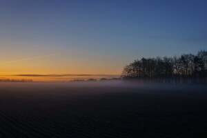 campo, paesaggio, tramonto