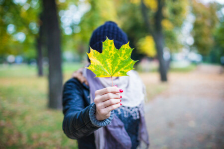 l'automne, feuille, manucure, feuille