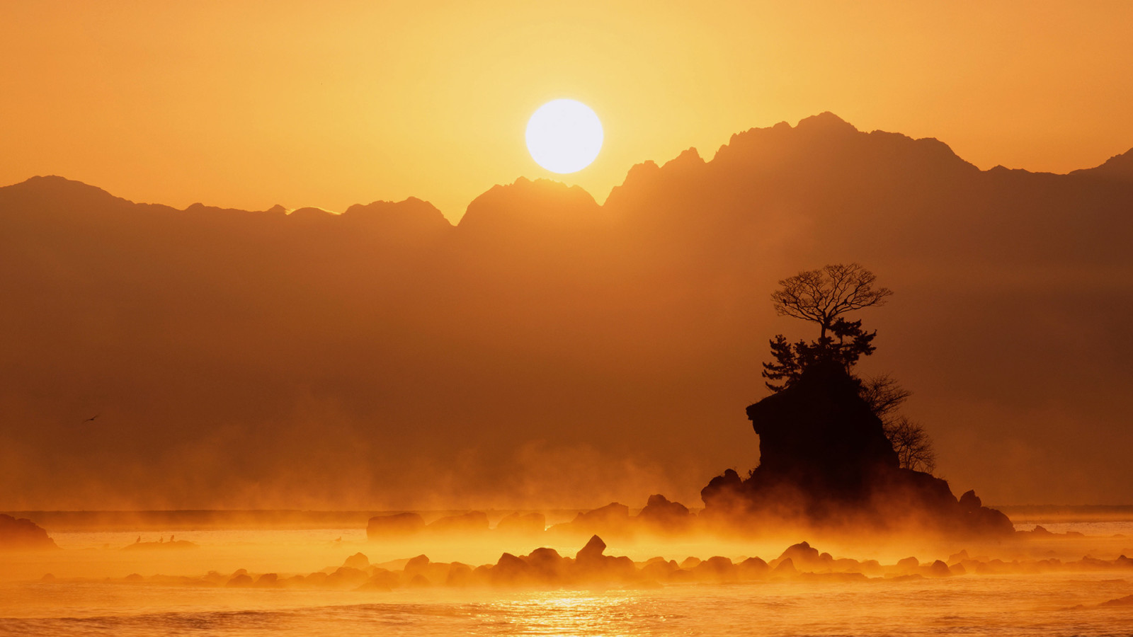 des pierres, des arbres, montagnes, Japon, brouillard, le soleil, Roche, Lac Yamanaka