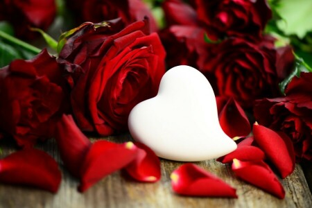 cuore, amore, romantico, Rose, San Valentino