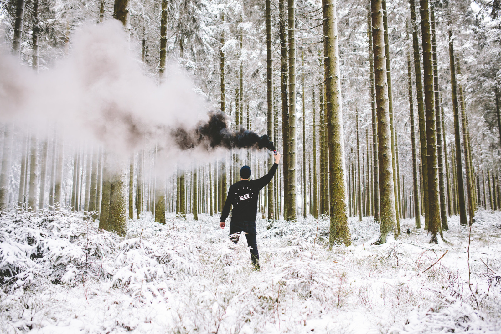 snö, skog, svart, vinter-, manlig, rök