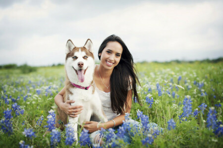 hond, veld met bloemen, bloemen, meisje, haar-, glimlach, glimlachen