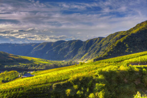 canal, Ediger-Eller, campo, Alemanha, montanhas, plantação, rio