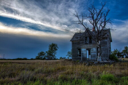 huis, landschap, nacht, boom