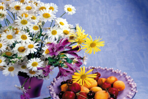 alstroemeria, bouquet, camomille, Cerise, fleurs, Les pêches, photo, Nature morte