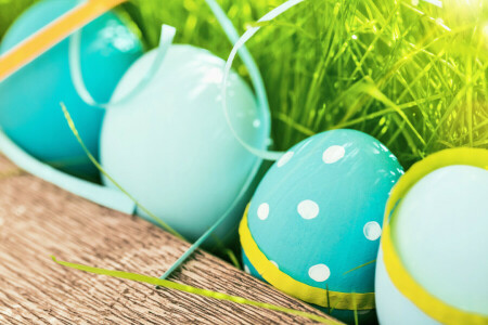 decoration, Easter, eggs, flowers, grass, happy, spring