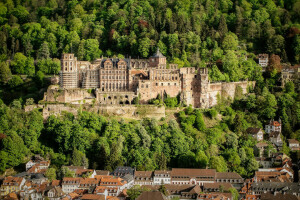 Château, forêt, Allemagne, Accueil, des arbres