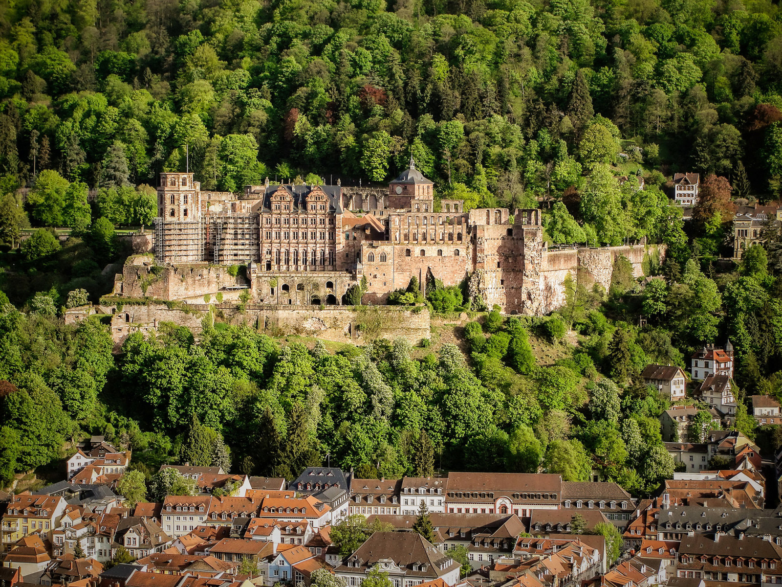 pădure, copaci, Acasă, Germania, castel