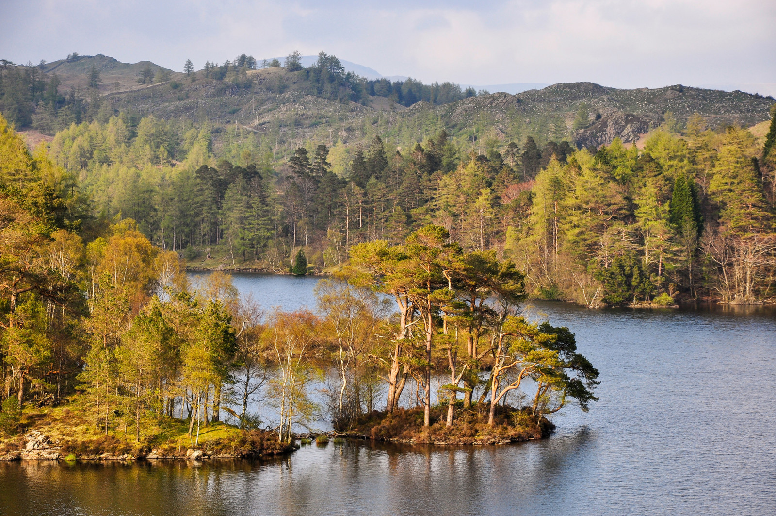 skog, himmelen, innsjø, trær, fjellene