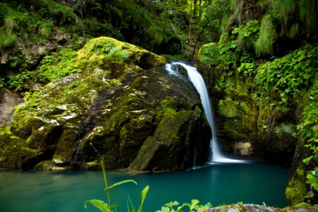 Croacia, bosque, verduras, musgo, piedras, cascada