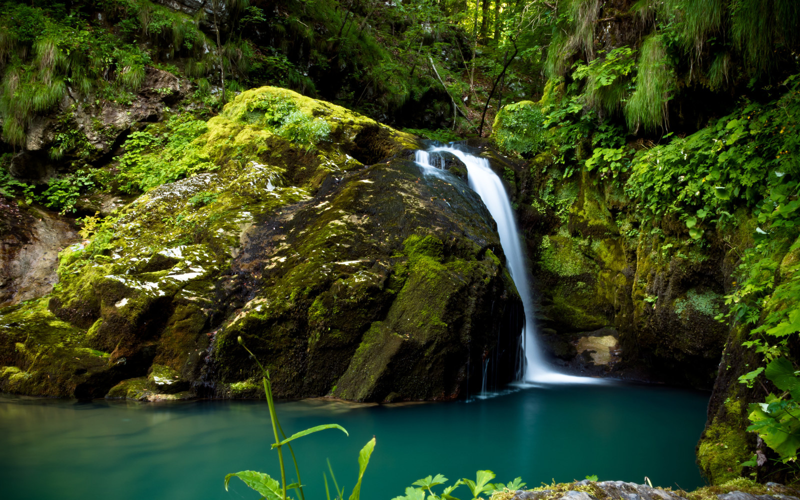 forest, stones, waterfall, greens, Croatia, moss