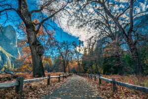 l'automne, montagnes, route, la barrière