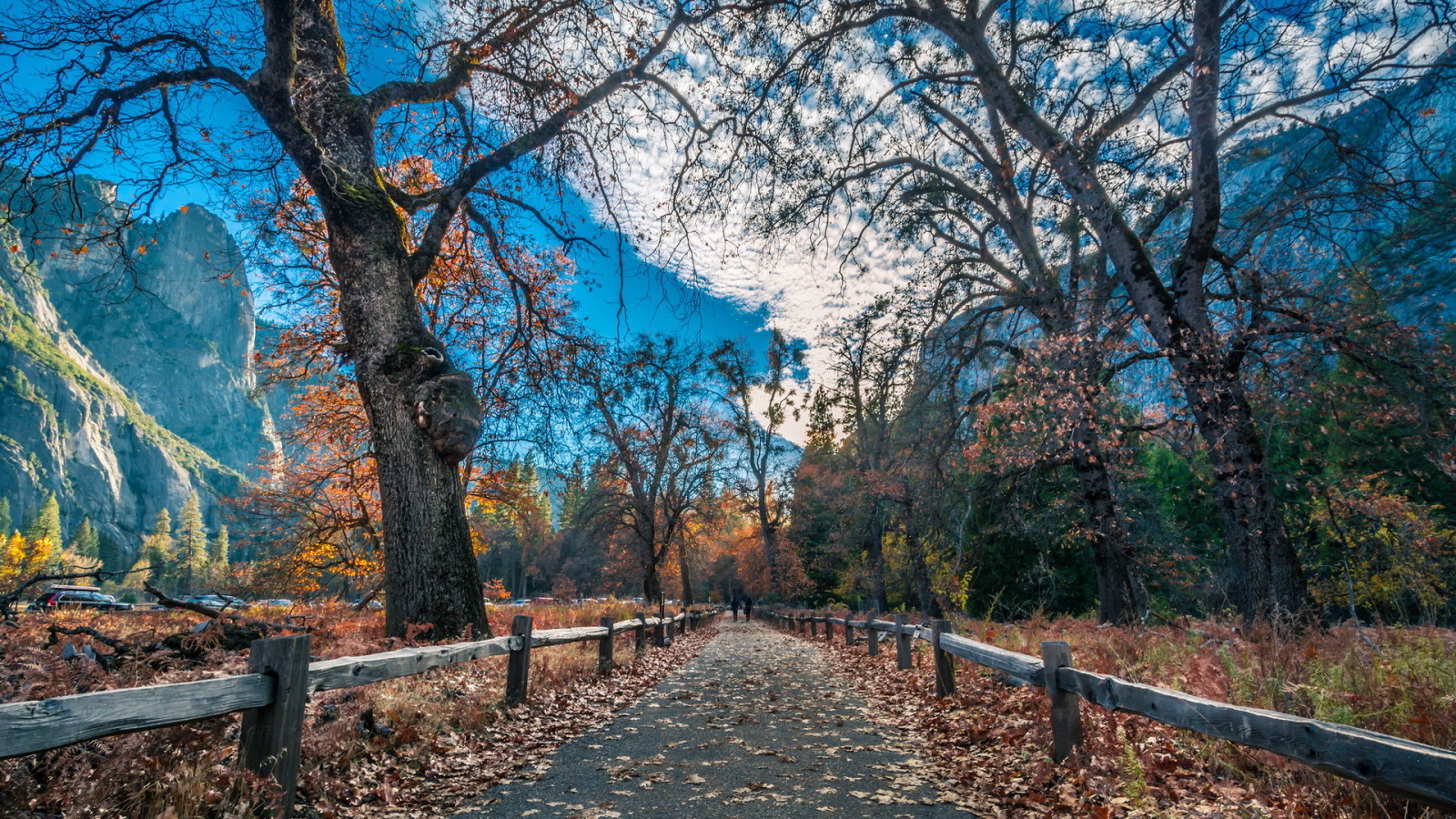 осень, Дорога, горы, забор