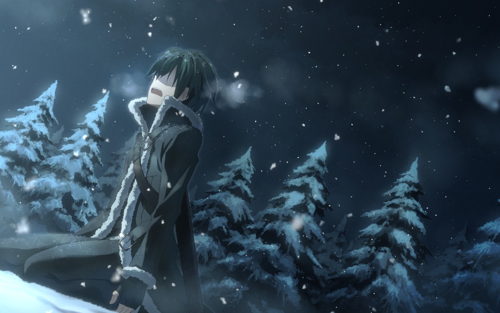 Schnee, Natur, Winter, Kunst, Nacht, Fichte, Anime, Kerl