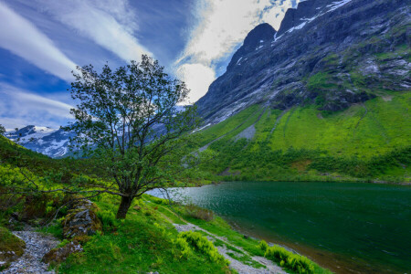 clouds, grass, lake, mountains, the sky, tree