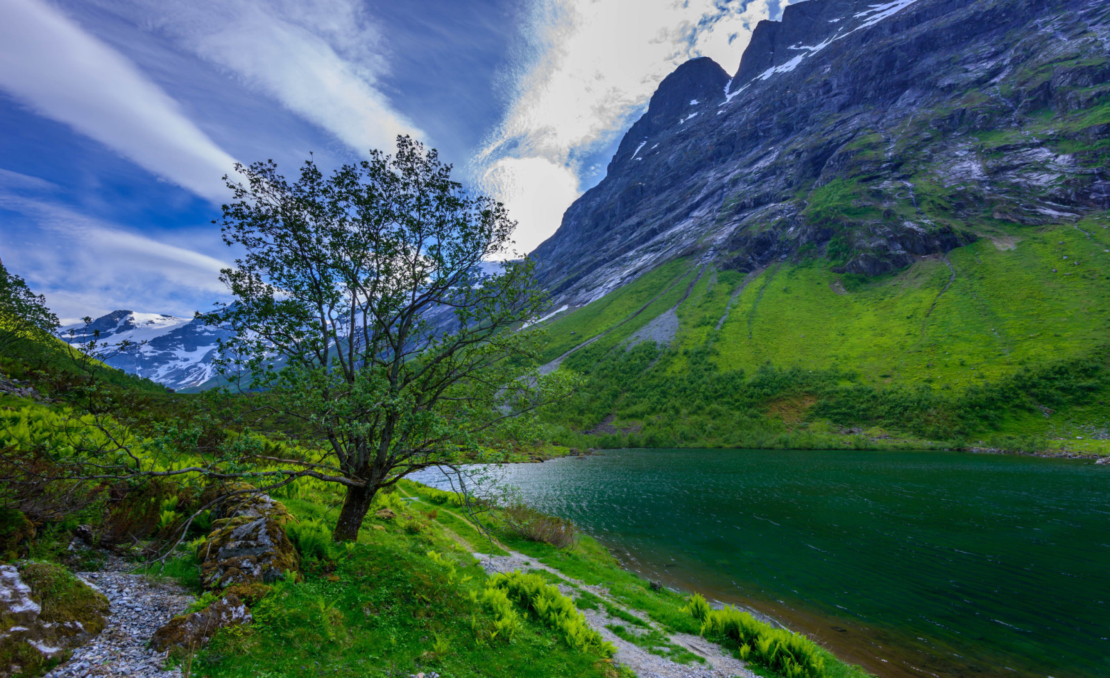 tree, grass, the sky, lake, clouds, mountains