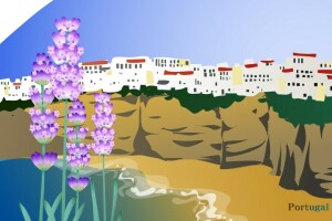 Land, Blumen, Portugal, Felsen, Meer, die Stadt, Tourismus, Reise