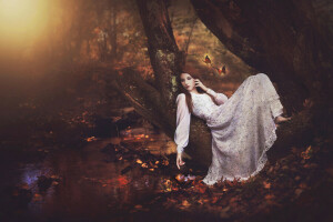 autumn, BUTTERFLY, dress, forest, girl, mood, stream, tree