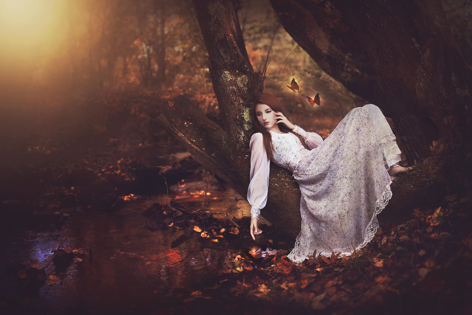 tree, autumn, forest, mood, girl, BUTTERFLY, dress, stream