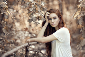 Alessandro Di Cicco, l'automne, branches, fille, feuilles, Regardez, érable, la nature