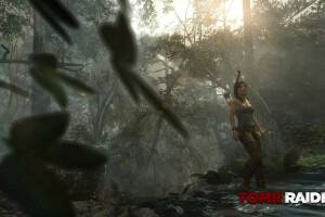 selva, Lara Croft, Tomb Raider