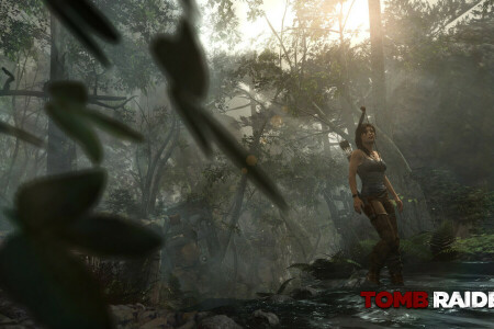 dzsungel, Lara Croft, Tomb Raider