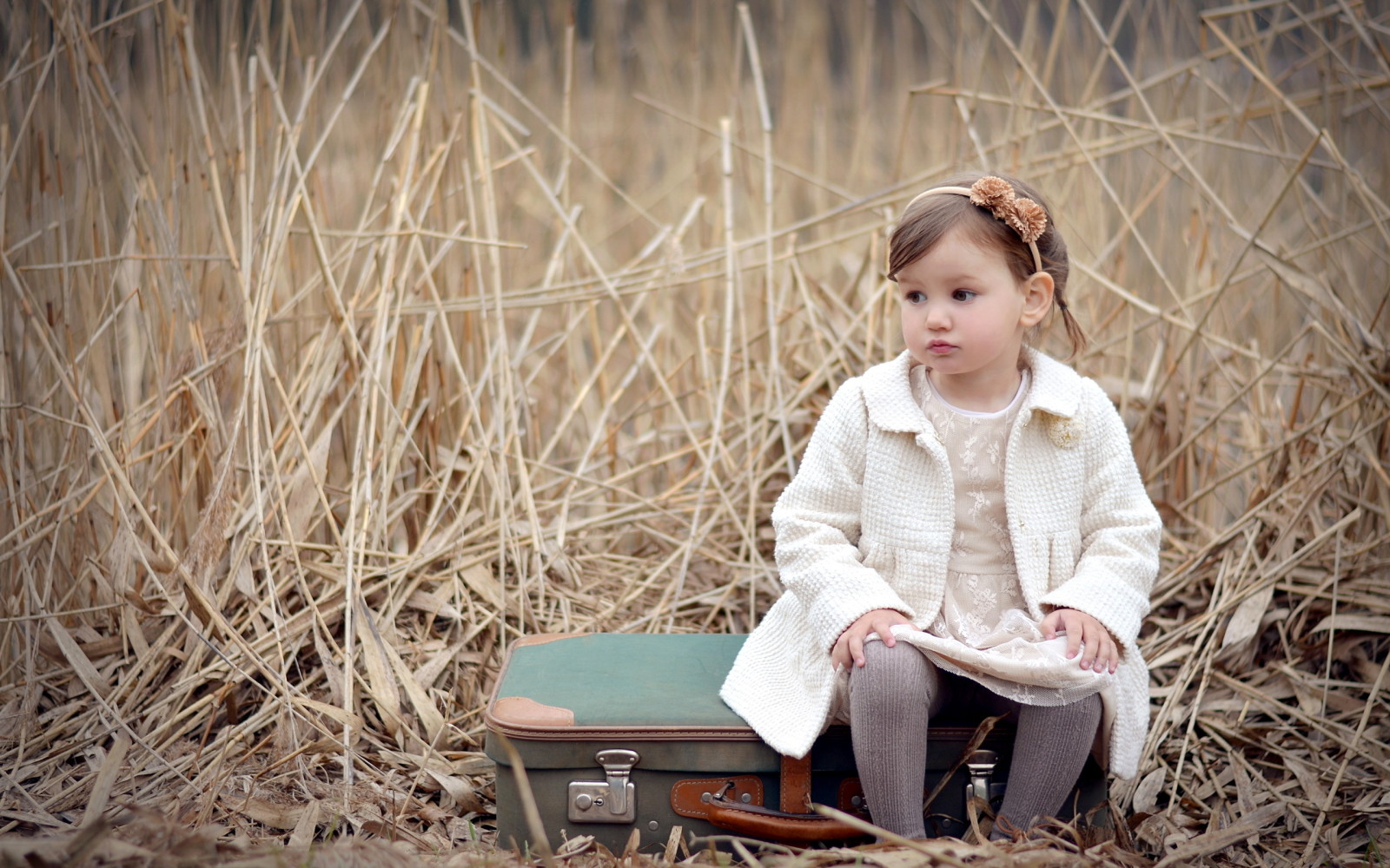 ambiance, fille, valise