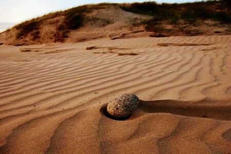 sanddyner, gräs, sand, sten, himmelen