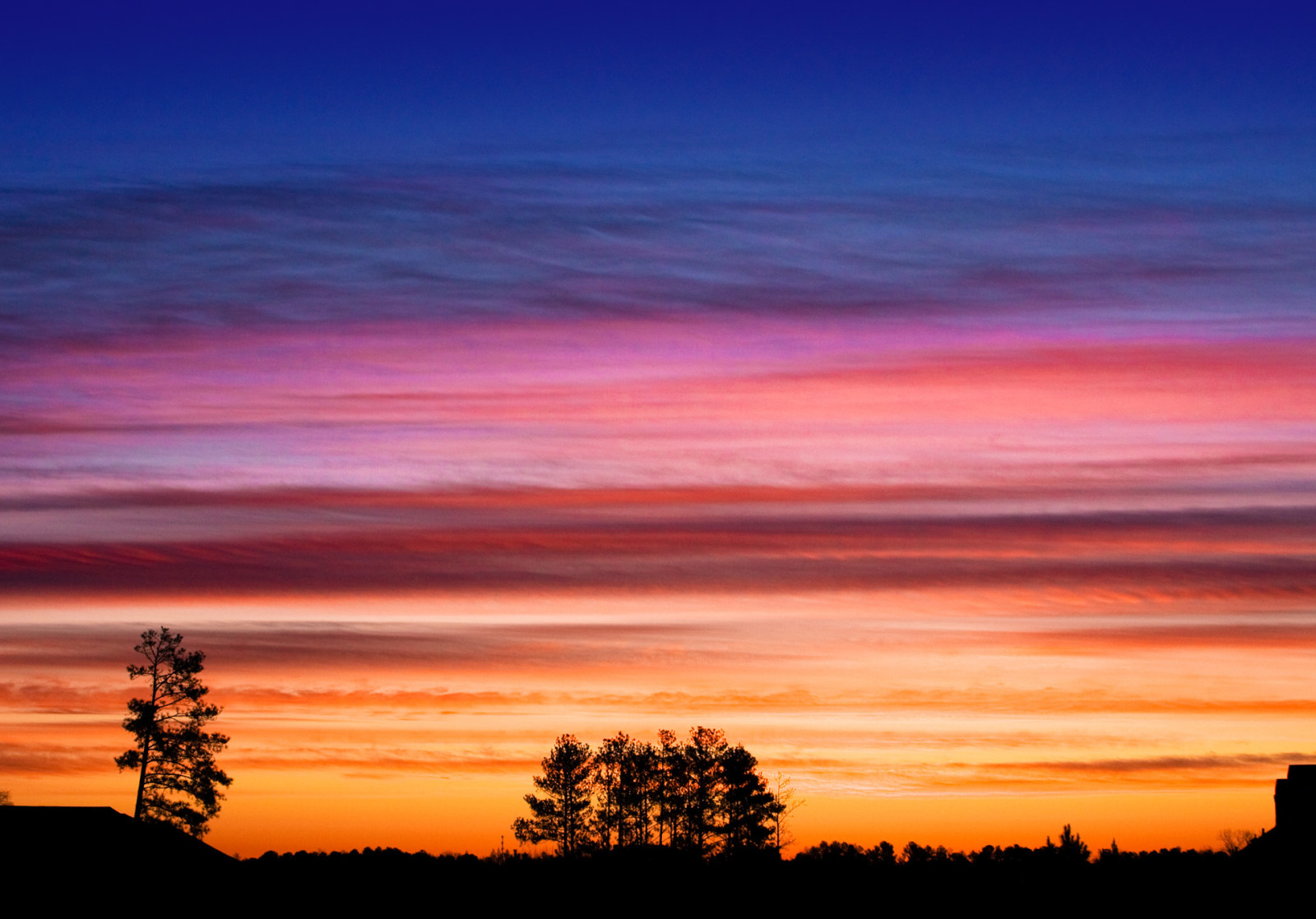 træ, himlen, skyer, glød