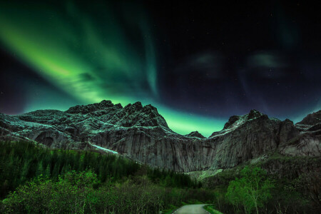 mountains, night, Northern Lights, Norway, road, trees