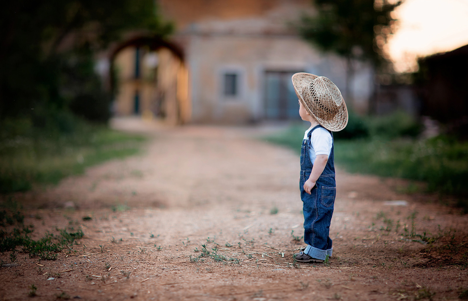 bakgrund, bokeh, landskap, jeans, hatt, pojke, cowboy