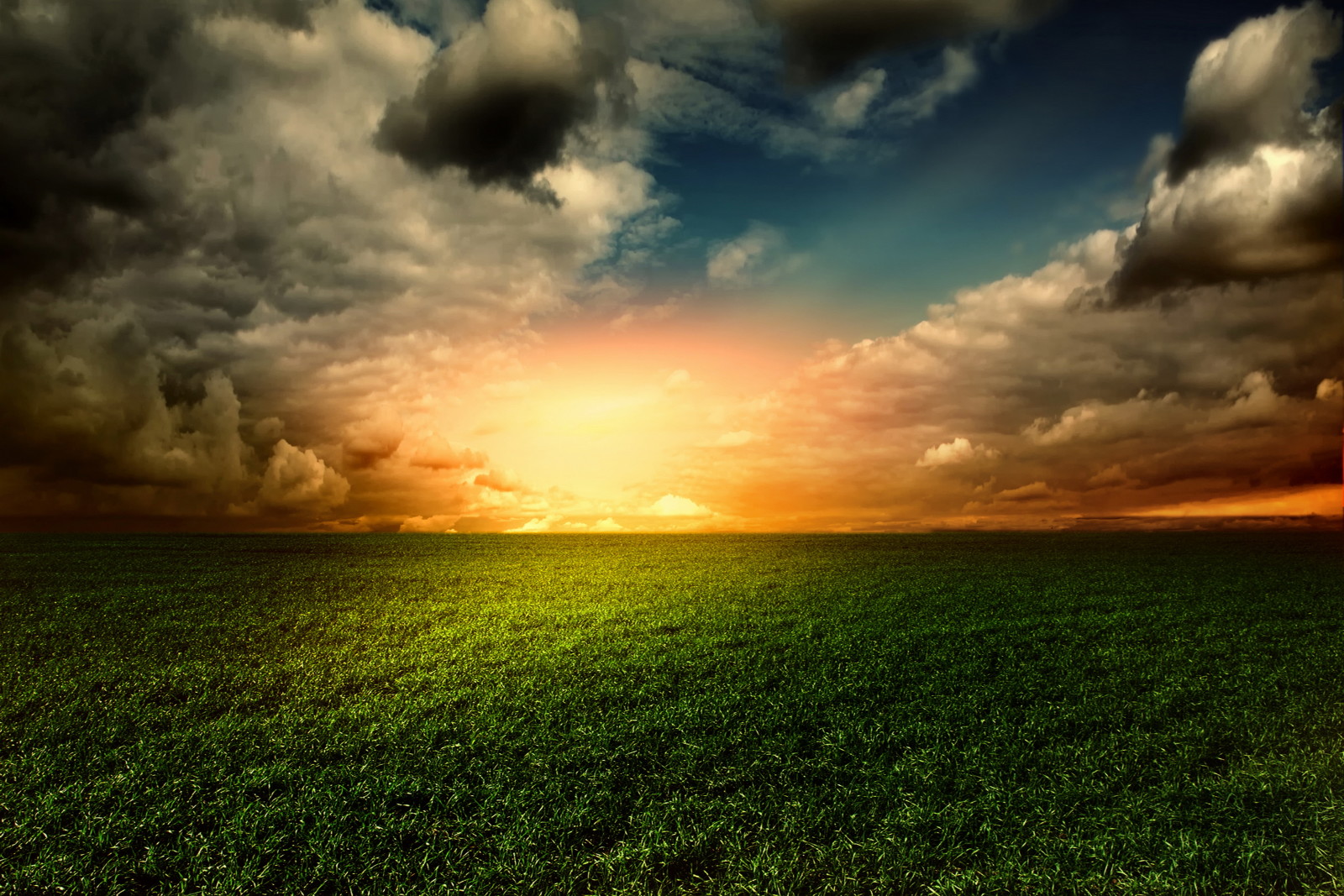 grass, nature, the sky, sunset, landscape, field, sky