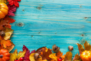 acorns, autumn, berries, harvest, leaves, pumpkin, tree