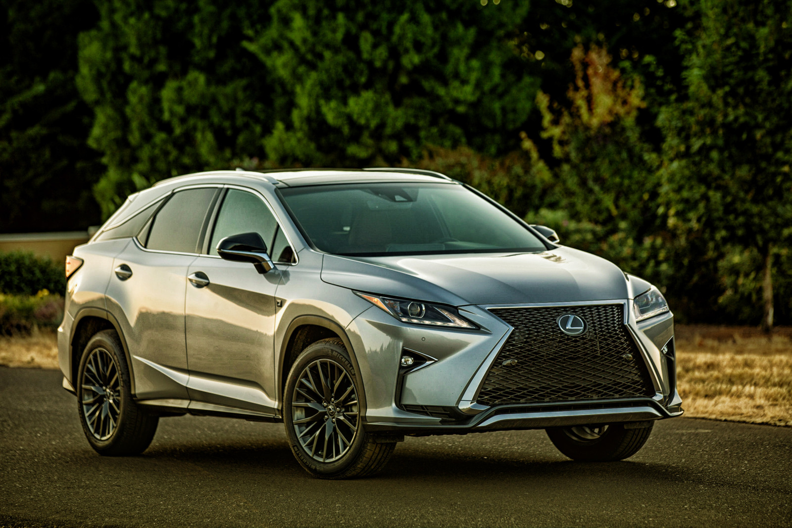 Crossover, Lexus, 2015, F-Sport