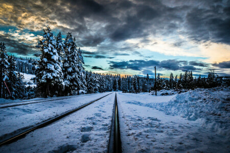 nuvole, foresta, Ferrovia, rotaie, neve, tramonto, alberi, inverno