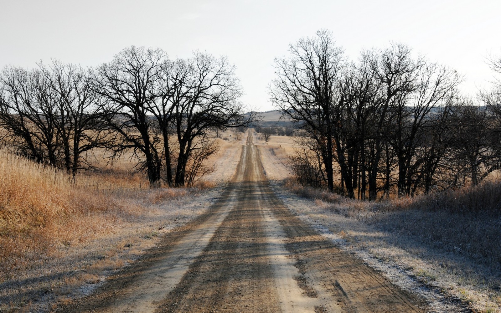 l'automne, paysage, route