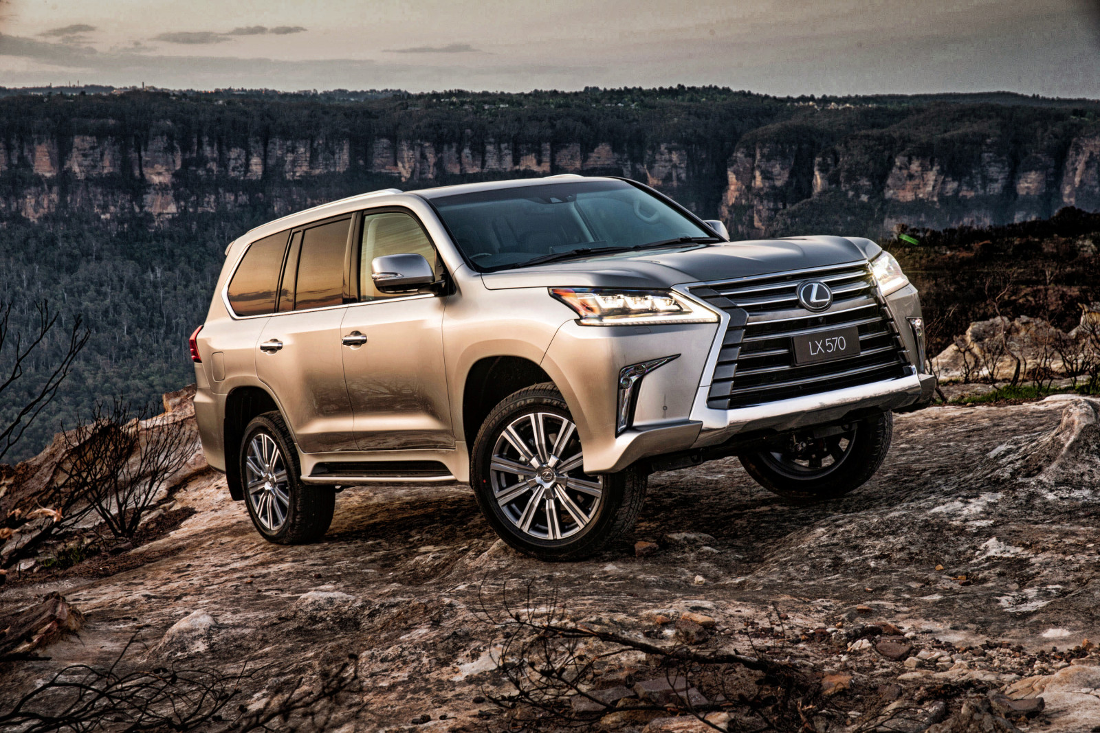 SUV, lexus