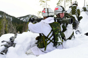 Esercito, soldati, Armi